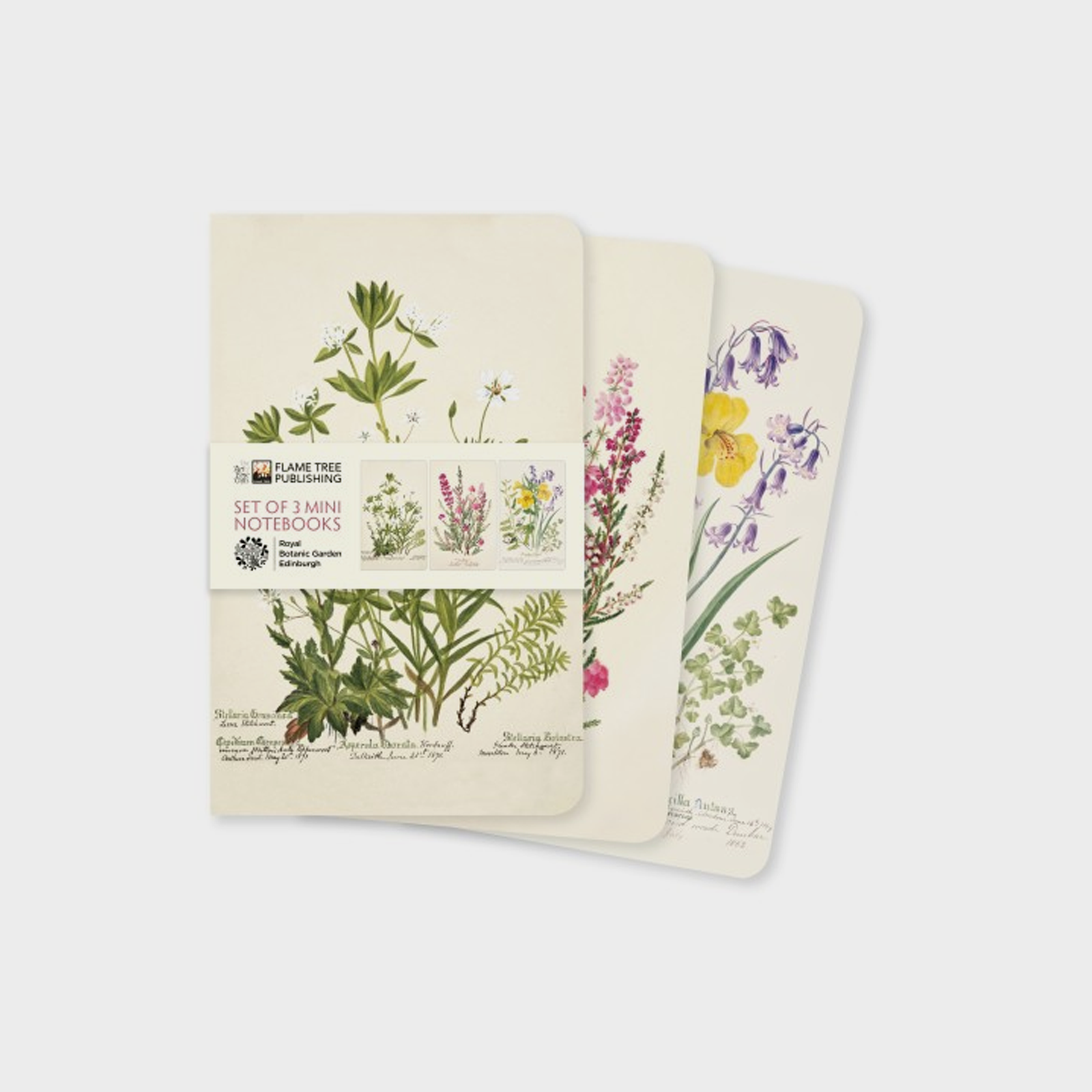 Image of Royal Botanic Garden Edinburgh Set of 3 Mini Notebooks