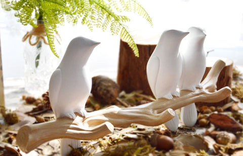 Oiseaux Scandinaves