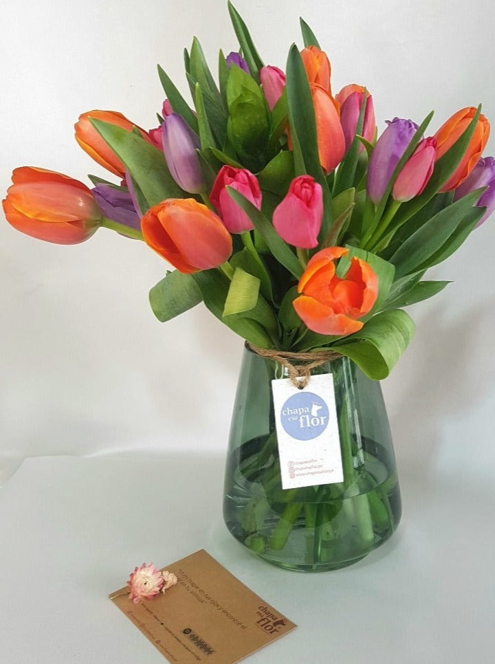Arreglo de Tulipanes Multicolor x 20 – Chapa esa Flor