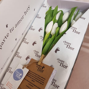 Box Premium 10 Tulipanes