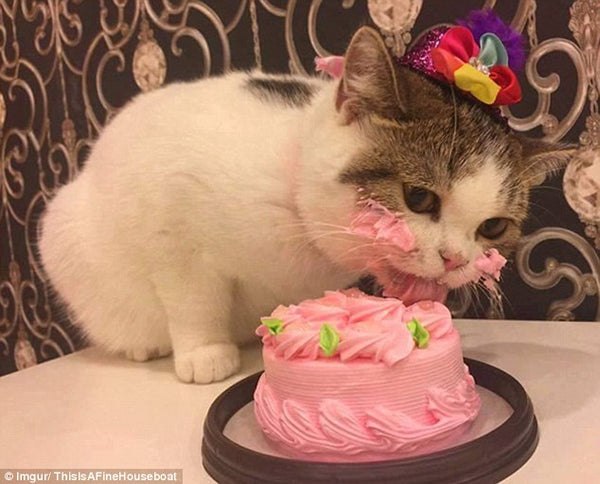Pink Birthday Cake 
