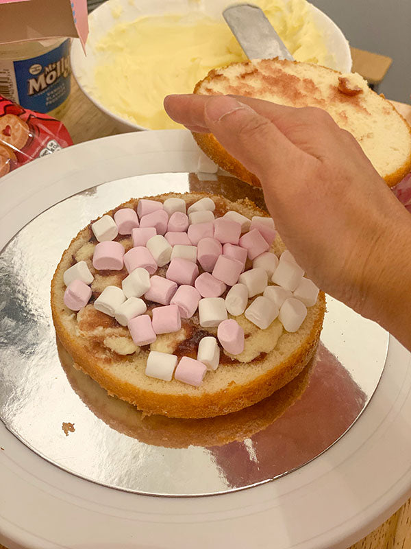 Pink Raspberry Fake Bake Cake - Marshmallow Stuffing