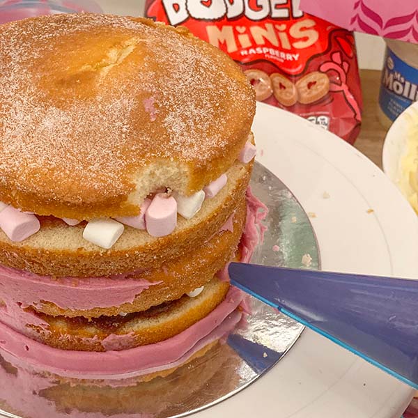 Pink Raspberry Fake Bake Cake - Piping Frosting