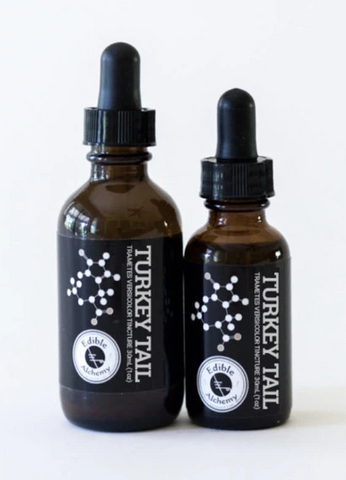 mushroom turkey tail tincture 