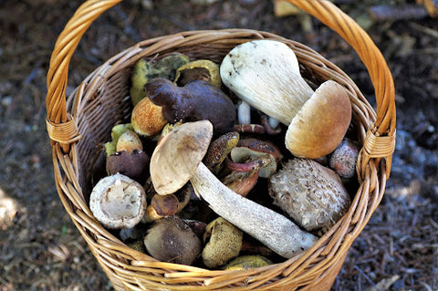 A basket of mushrooms.