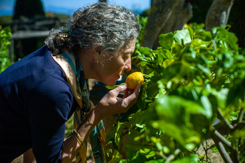 Woman sniffing lemons on a tree