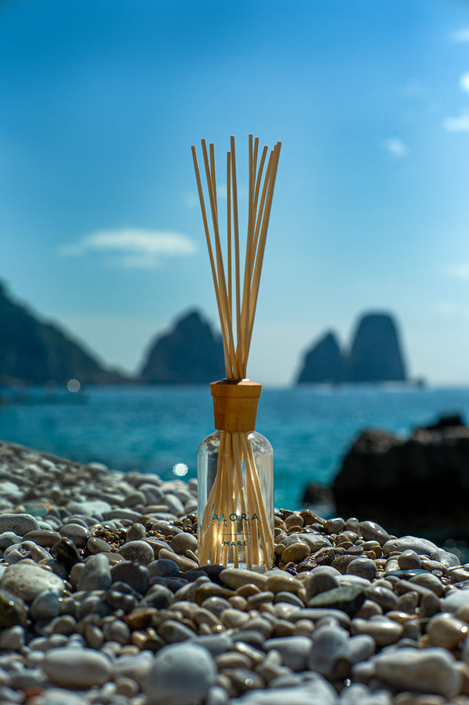 Mare reed diffuser sitting on a rocky beach
