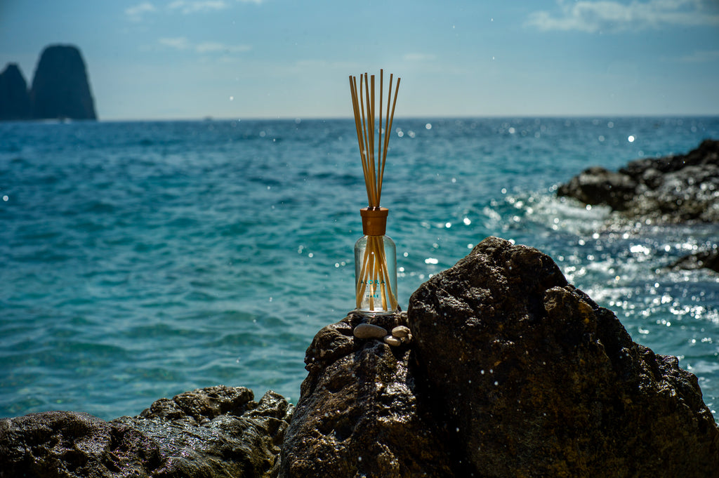 Mare diffuser on rocky outcropping overlooking ocean