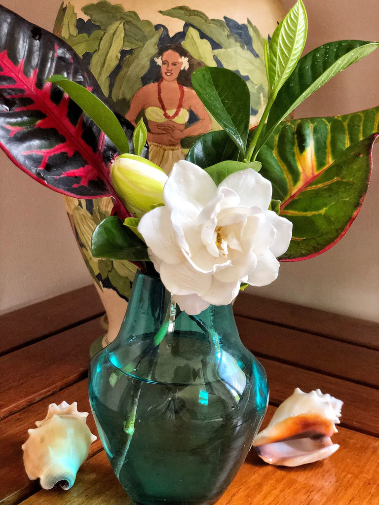 Gardenia flower in a blue glass vase next to two conch shells