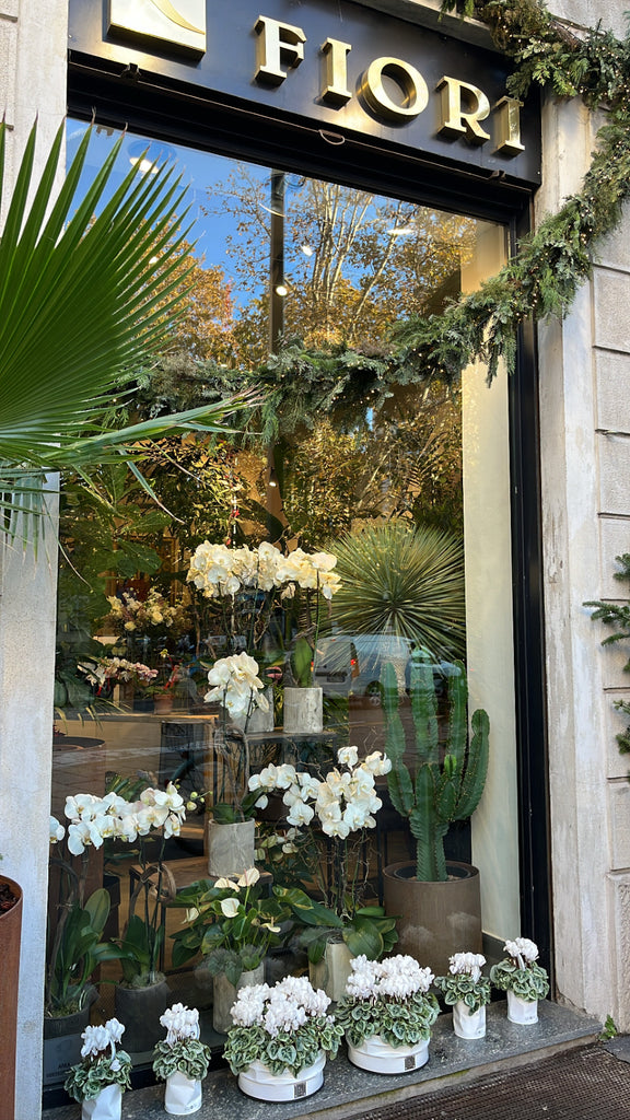 Flowers and plants on display in storefront window