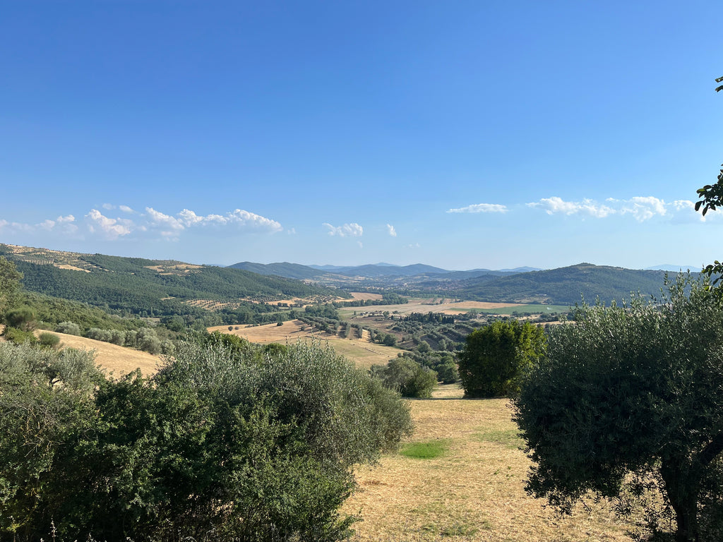 Rolling hills of the Italian countryside