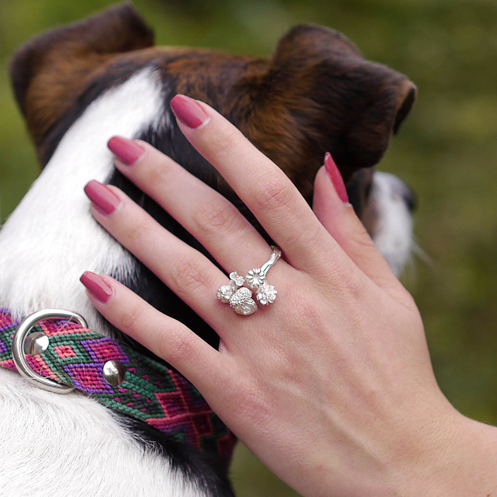 Seed Harmony ring, and Churry the dog model
