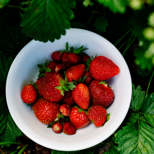 Strawberry Patch Fragrance Oil-StrawberryPatch