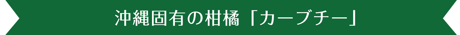 沖縄固有のミカン「カーブチー」