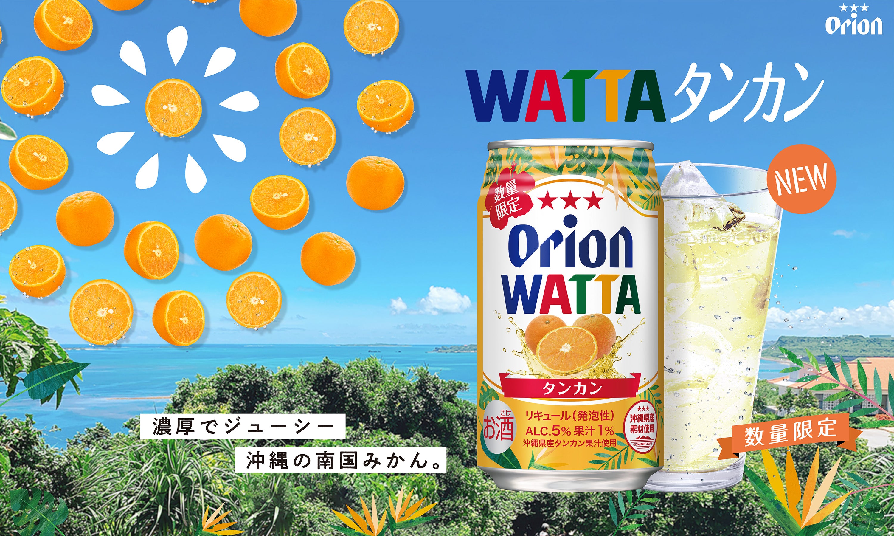 WATTA タンカン