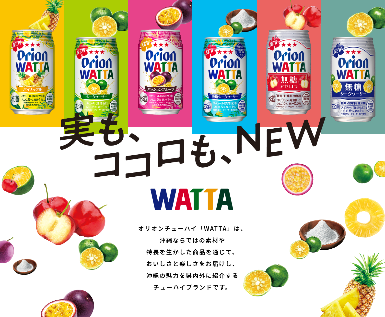 WATTAリニューアル