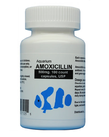 can dogs take fishbiotics amoxicillin 500mg