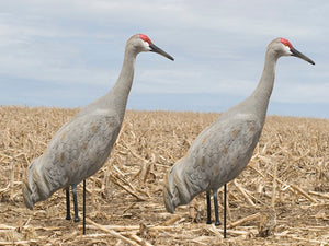 sx sandhill decoys