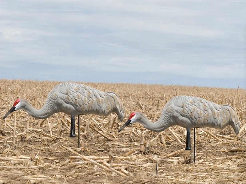 Sandhill Crane Printable Decoys