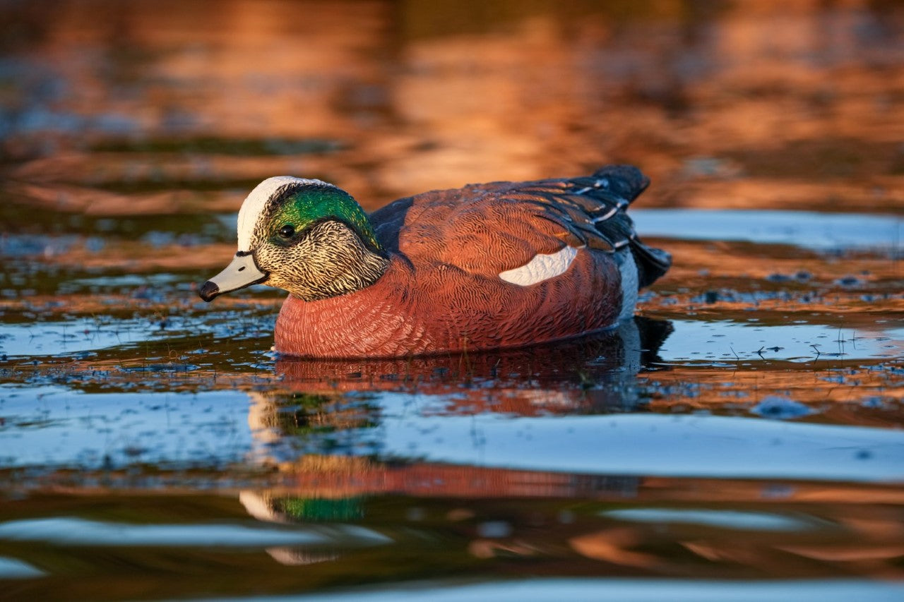 SX UV Decoy Flocking Kits - SX Decoys