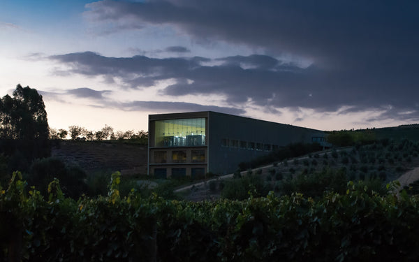 Glenelly Estate Cellar