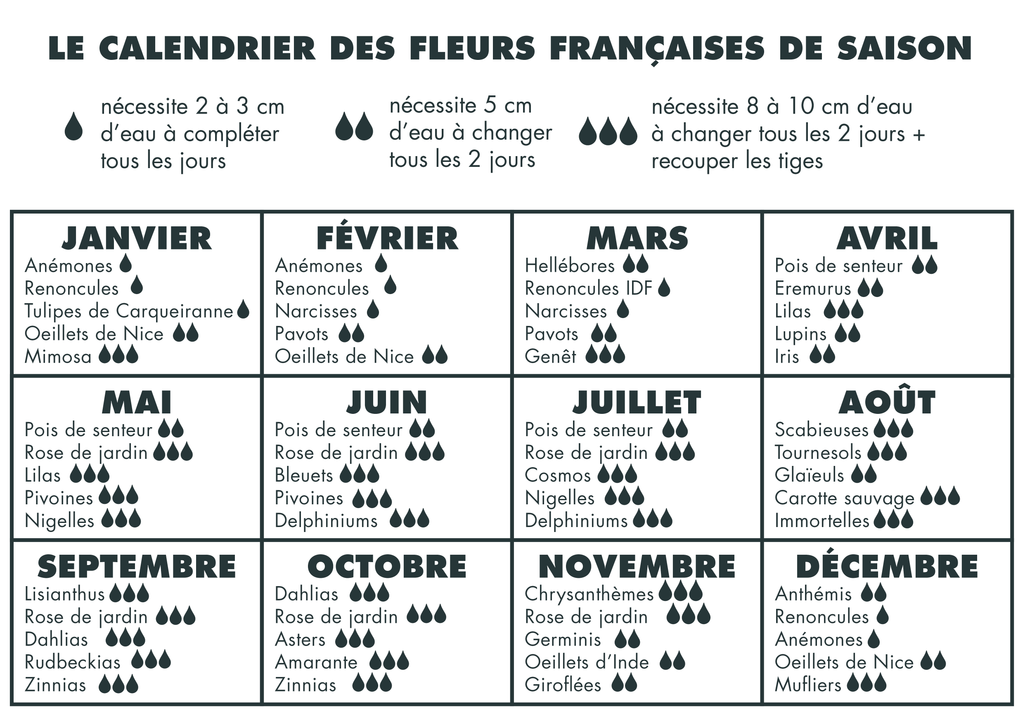 guide des fleurs de saison, mois par mois. Fleurs de France