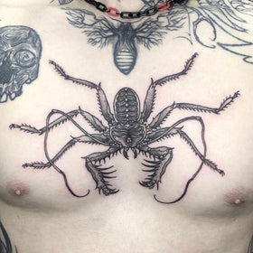 Scorpion on chest