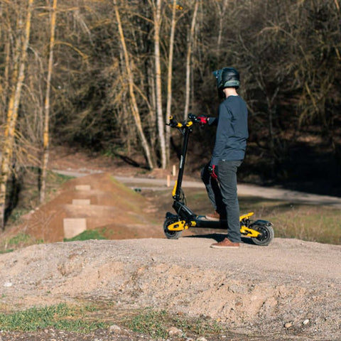 VSett 10 off Road Scooter