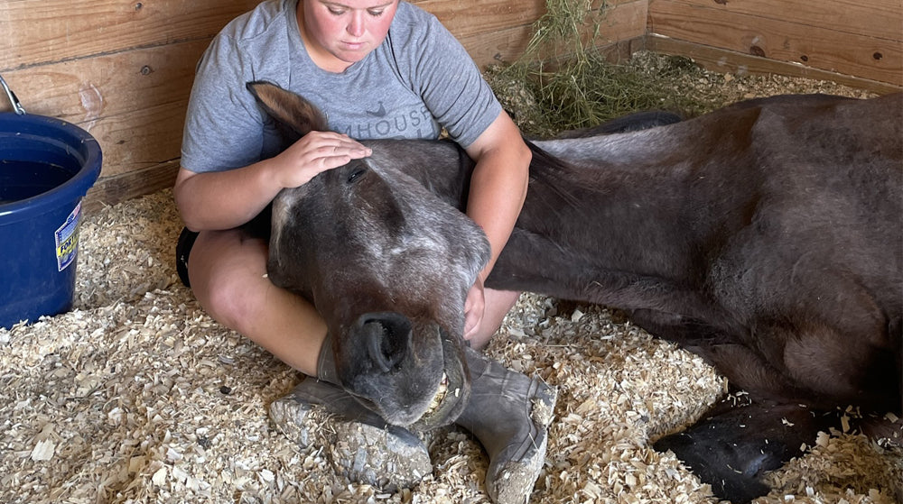 Starved Horse arrives to FarmHouse Fresh Sanctuary