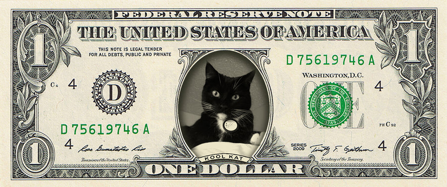 custom-dollar-bills-your-face-on-a-real-dollar-bill-you-re-on-the-money