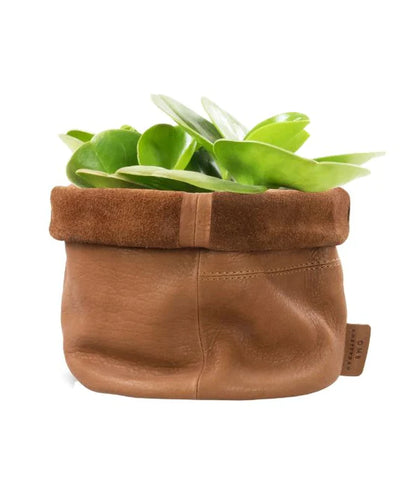 Leather Planter, Wild Oak Brown | Wearwell Sustainable, Ethical Clothing and Home Goods