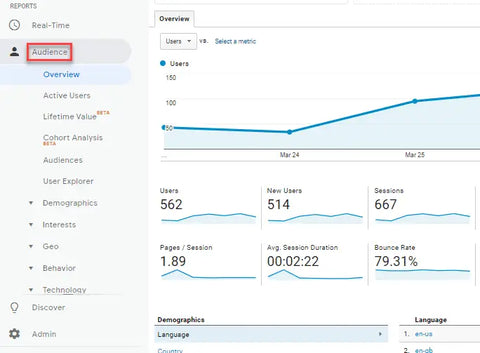 AUDIENCE REPORT GOOGLE ANALYTICS