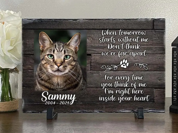 cat sympathy gift