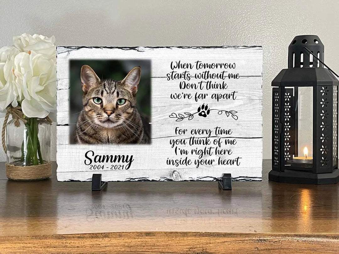 Custom pet portraits