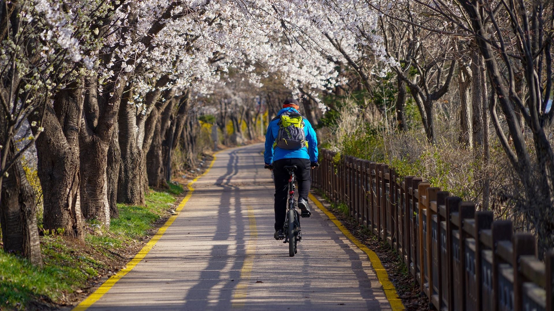 Long Distance Cycling