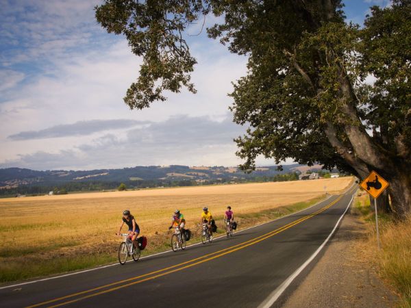 Oregon's Wine Country: Willamette Valley Road Routes