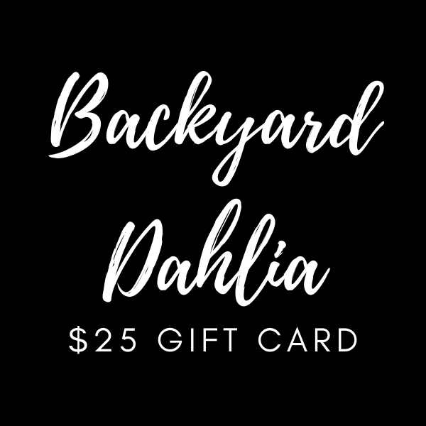  $25.00 Gift Card 