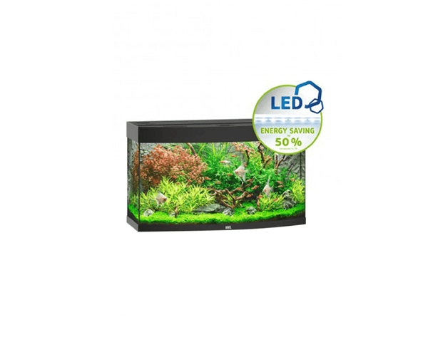 Vision 180 LED Aquarium (92 x 41 x 55 cm) - Juwel Aquarium - PetStore.ae