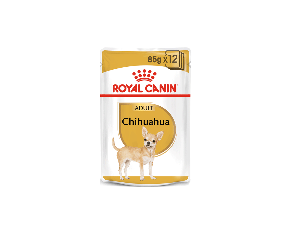 Chihuahua Adult Wet Dog Food Pouch - Royal Canin | PetStore.ae