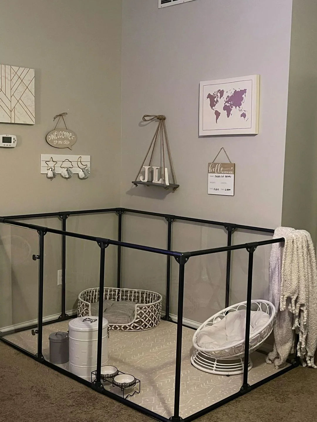 The Clearly Loved Pets Gallery