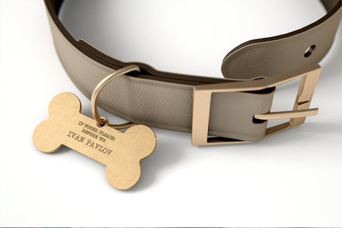 dog collar with ID tag