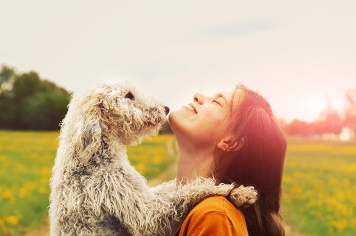 Woman and dog in sunlight
