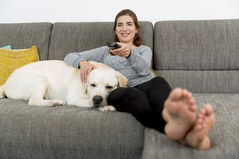 Dog on sofa with woman watching tv