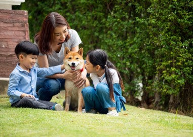 Japanese woman and children with dog