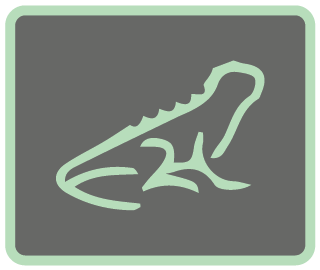 Reptile C-12.png__PID:a9df041c-5a91-4ca8-bf39-77b8fb9e4f4a