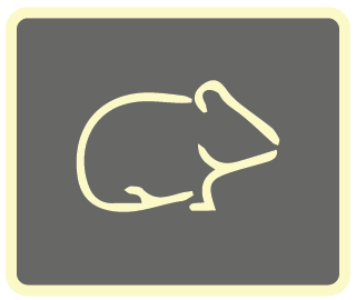 Small Mammal C-08.png__PID:df041c5a-91fc-483f-b977-b8fb9e4f4a57