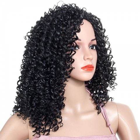 Black African Small Curl Explosion Hairstyle Wigs