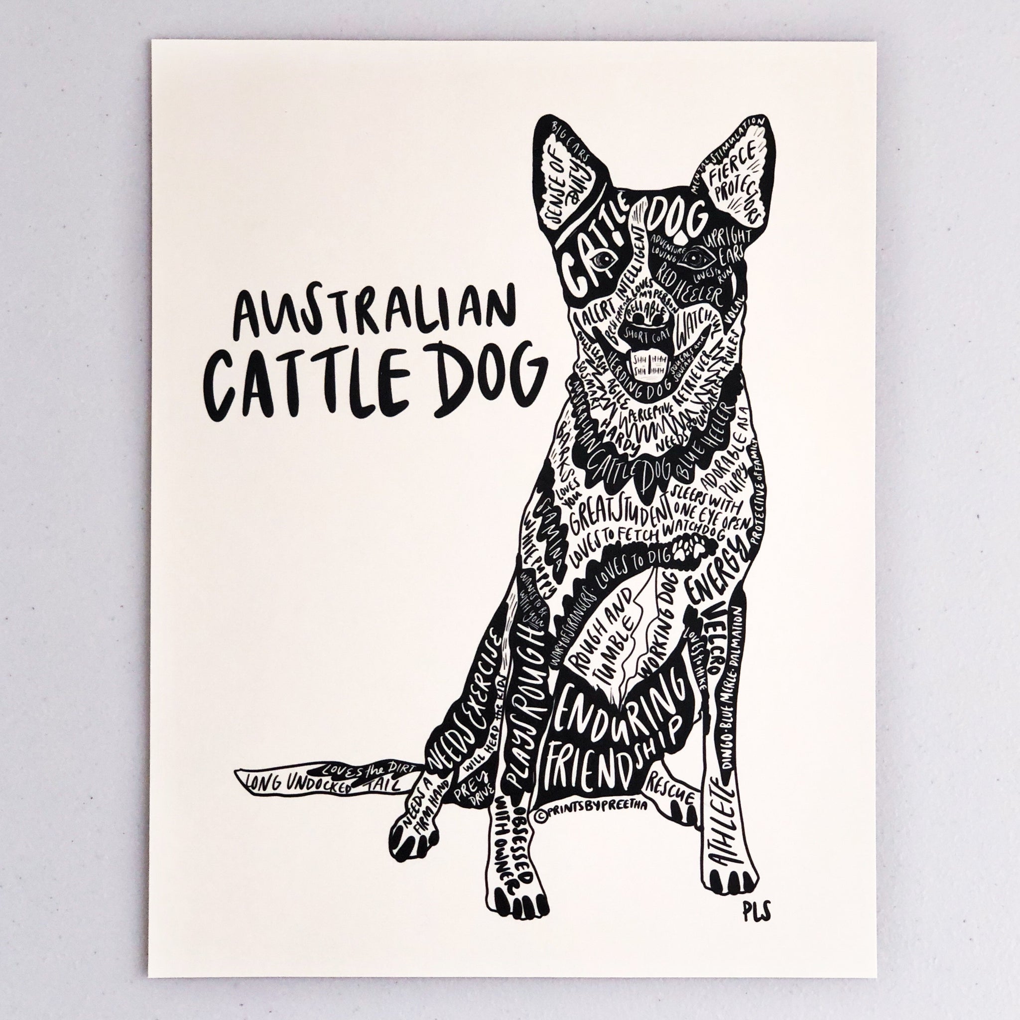 can a australian cattle dog and a rottweiler be friends