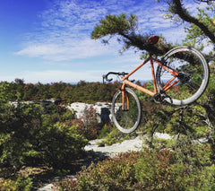 Test your bikes hanging ability.