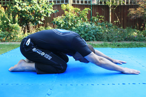 jiu jitsu and back pain - All topics relating to 'the Monkey Gym' - Stretch  Therapy Community Forums